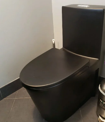 K-0382 One Piece 28" Toilet Dual Flush/ Powerful Flush 10 min installation - iStyle Bath