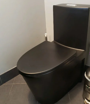K-0382DFMB One Piece  28" Toilet Dual Flush/ Powerful Flush 10 min installation - iStyle Bath