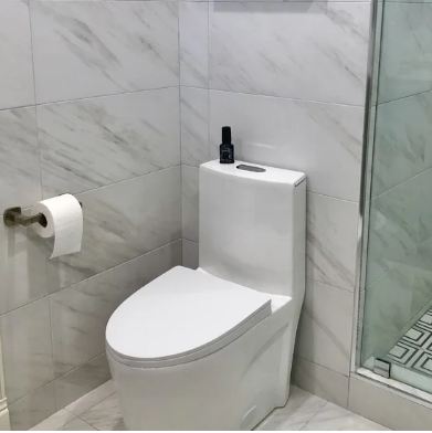 K-0382 One Piece 28" Toilet Dual Flush/ Powerful Flush 10 min installation - iStyle Bath