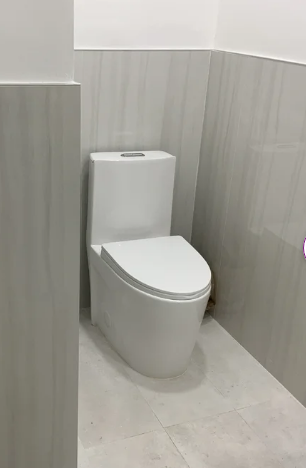 K-0382 One Piece 28" Toilet Dual Flush/ Powerful Flush 10 min installation - iStyle Bath