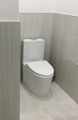K-0382  One Piece 28" Toilet Dual Flush/ Powerful Flush 10 min installation - iStyle Bath