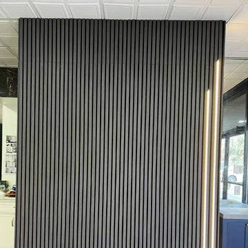 A-06-(H498)  (Acoustic Interior Wall Panel)